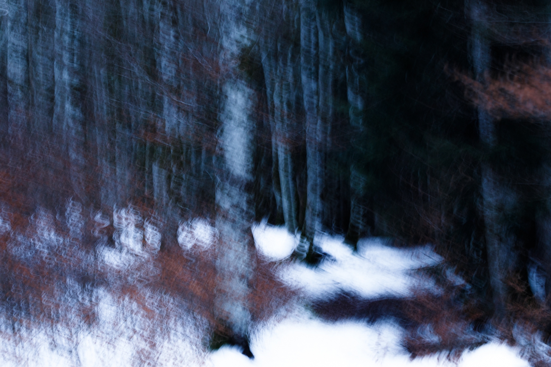 Evanescence hivernale #02