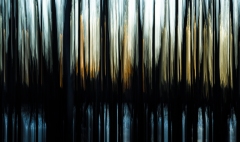 Evanescence hivernale