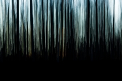 Evanescence hivernale