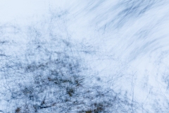 Evanescence automnale #01