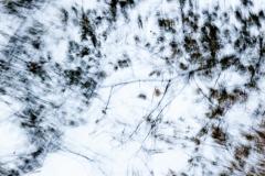 Evanescence automnale