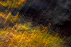 Evanescence automnale