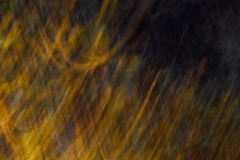 Evanescence automnale