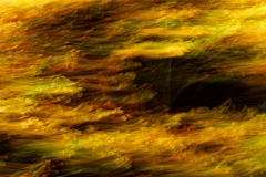 Evanescence automnale #06