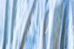 Evanescence hivernale #01