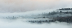 01012019-578a8989