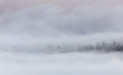 01012019-578a9015