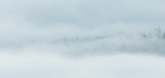 01012019-578a9038