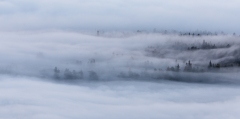 Nuages