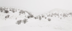 09022014-_91c0356