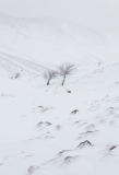09022014-_91c0488