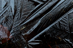 Frozen #03