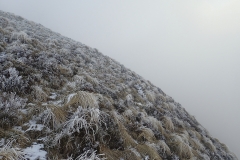 Givre