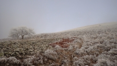 Givre